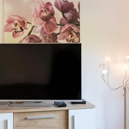 Ferienwohnung 65m' Selzen
